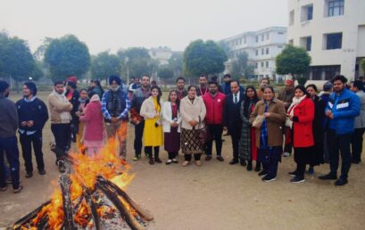 Lohri Celebration at Baddi University: A Festive Affair Uniting the University Community