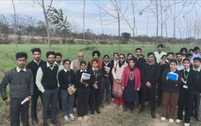 A Visit to Saini organic farm Khalidpur
