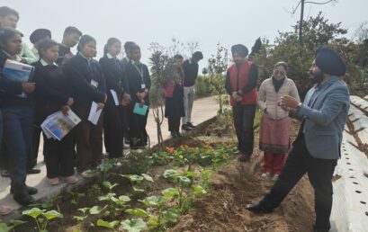 A visit to Future grower farm at Ghanouli